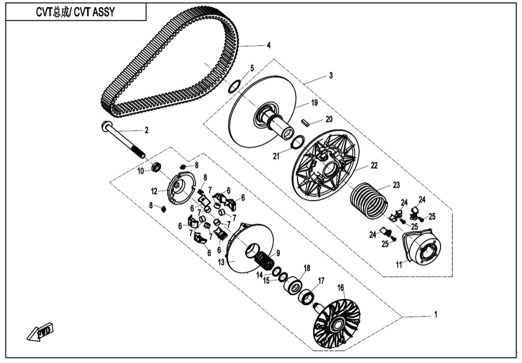 Toothed drive belt